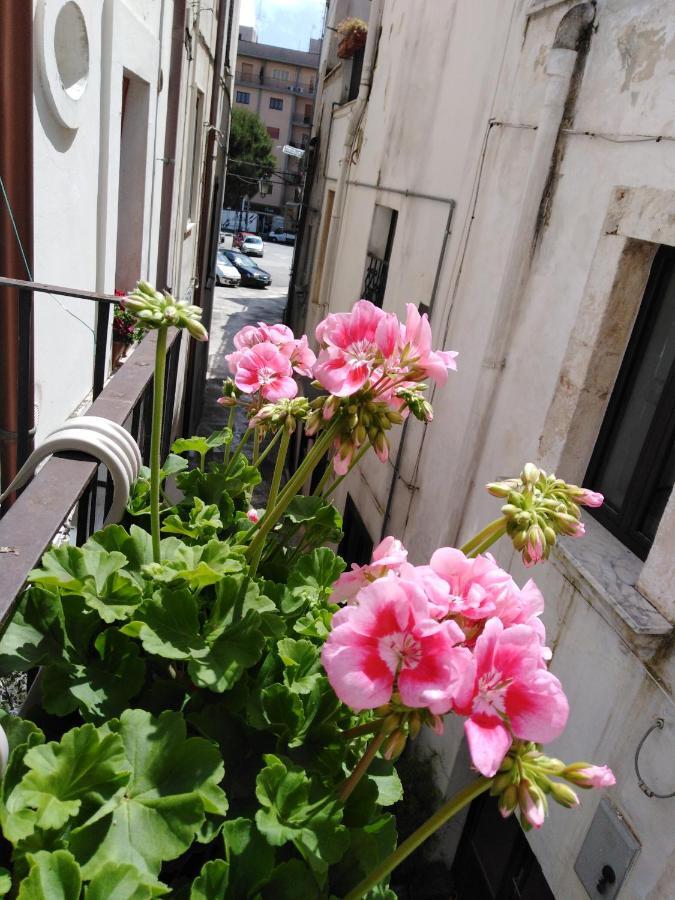 Willa Rosa'S House Conversano Zewnętrze zdjęcie